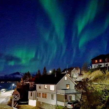 Arctic Garden Hotel Lodingen Buitenkant foto