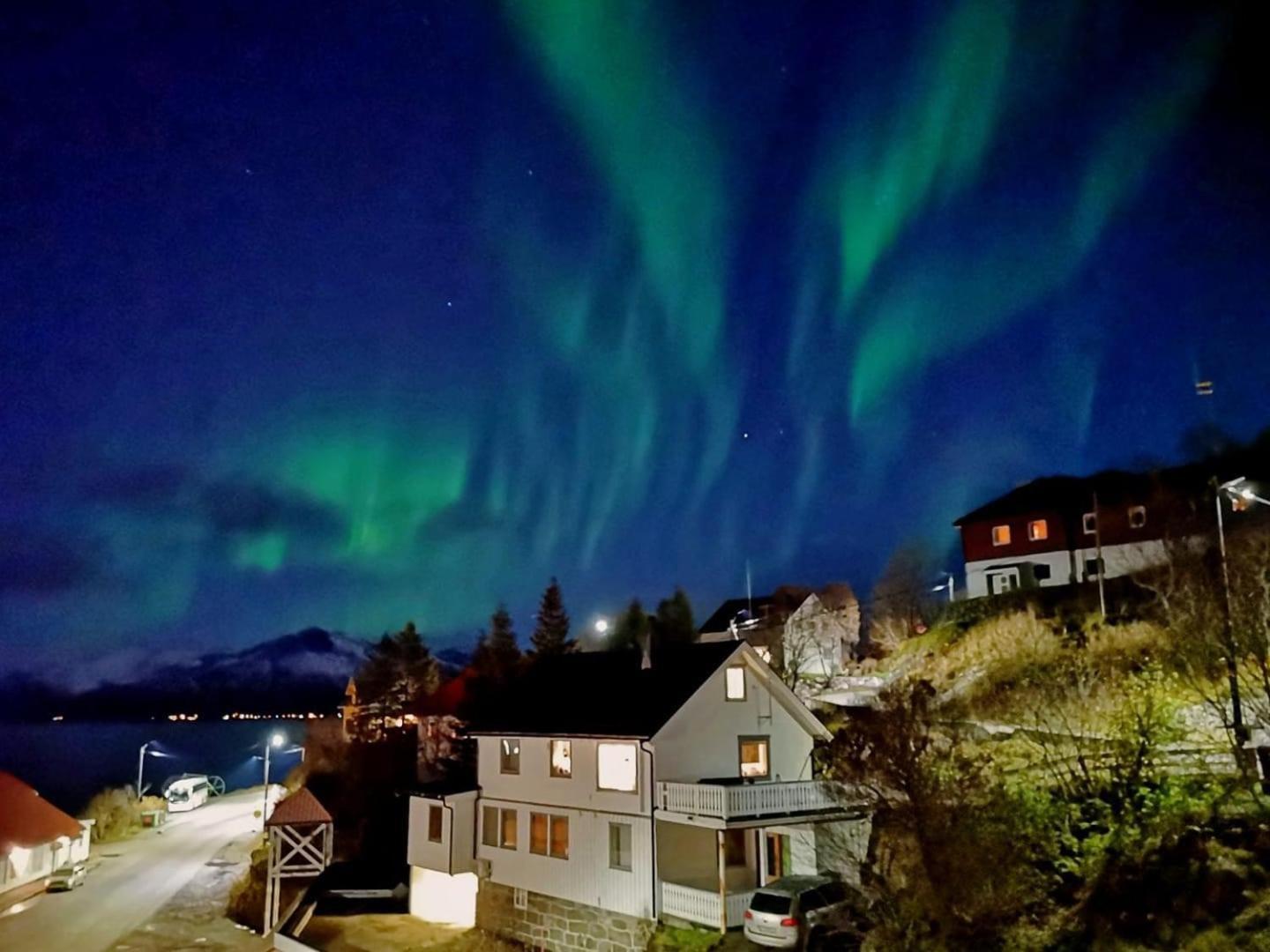 Arctic Garden Hotel Lodingen Buitenkant foto