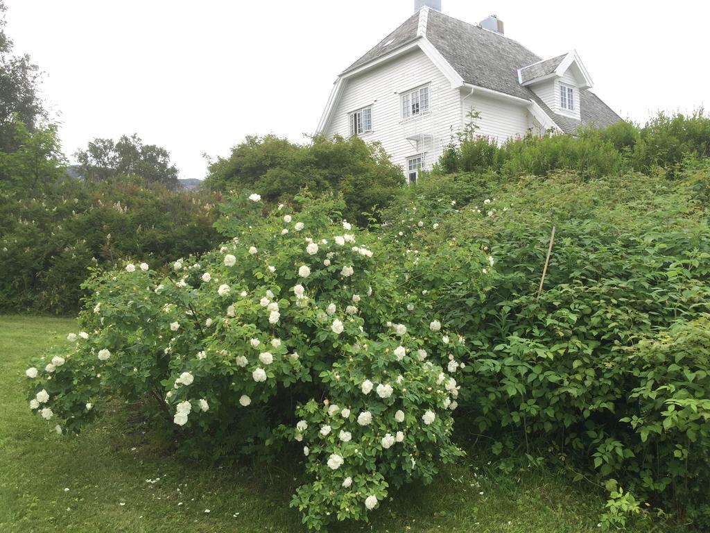 Arctic Garden Hotel Lodingen Buitenkant foto