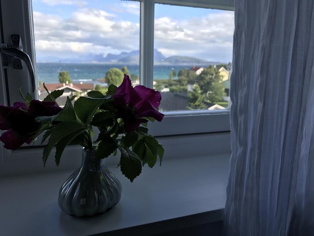 Arctic Garden Hotel Lodingen Buitenkant foto