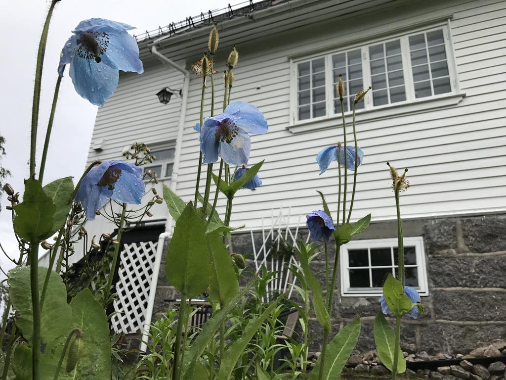 Arctic Garden Hotel Lodingen Buitenkant foto